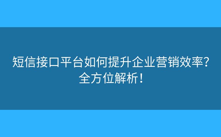 短信接口平台如何提升企业营销效率？全方位解析！