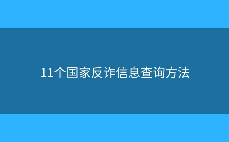 11个国家反诈信息查询方法