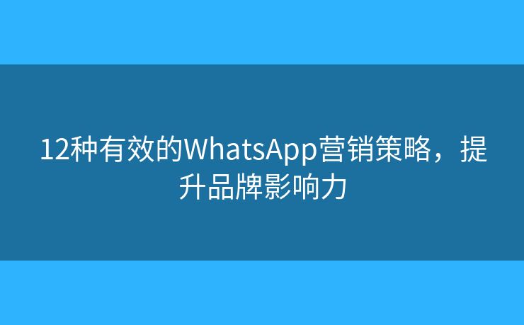 12种有效的WhatsApp营销策略，提升品牌影响力