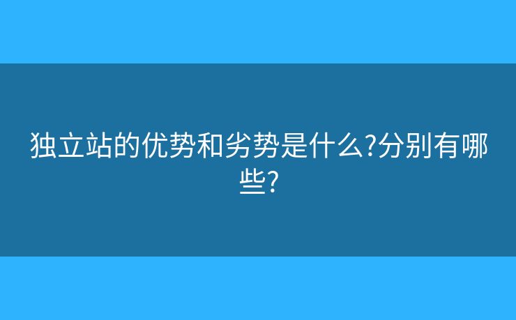 独立站的优势和劣势是什么?分别有哪些?