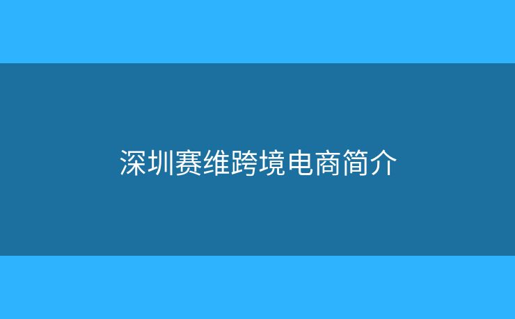 深圳赛维跨境电商简介