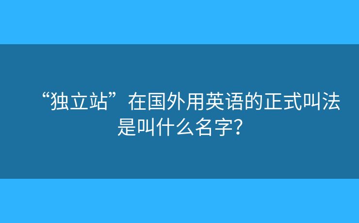 “独立站”在国外用英语的正式叫法是叫什么名字？