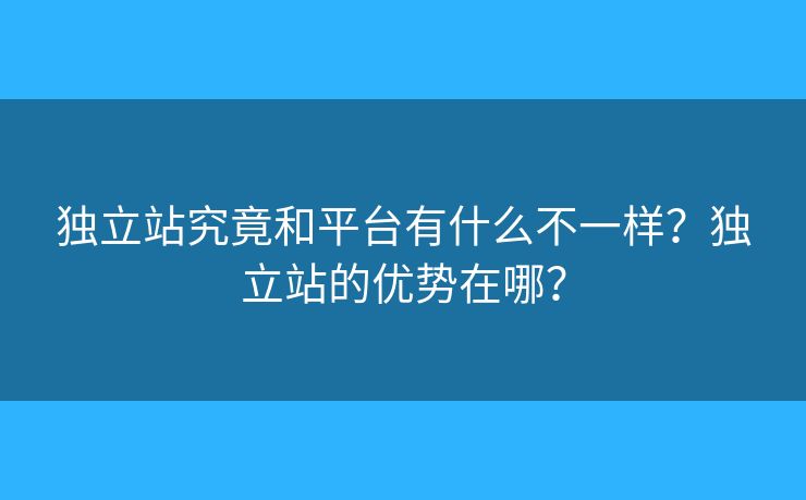 独立站究竟和平台有什么不一样?独立站的优势在哪? 独立站究竟和平台有什么不一样?独立站的优势在哪?