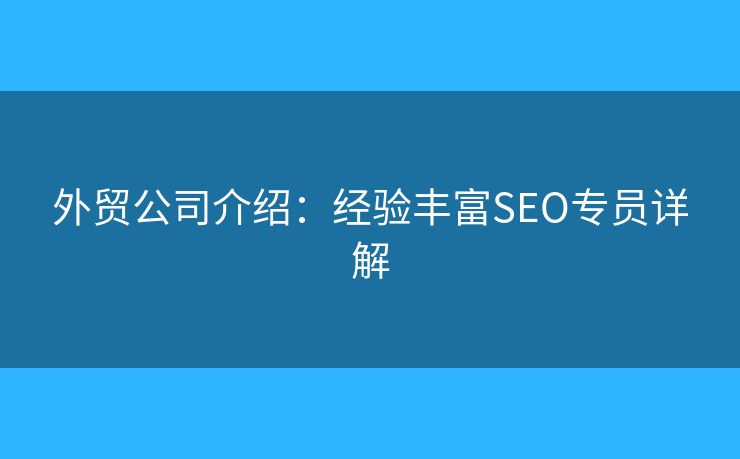外贸公司介绍：经验丰富SEO专员详解