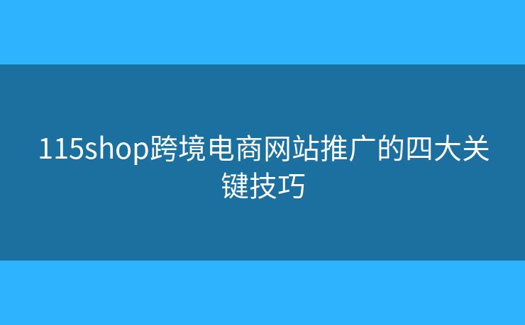 115shop跨境电商网站推广的四大关键技巧