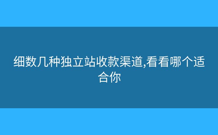 细数几种独立站收款渠道,看看哪个适合你 细数几种独立站收款渠道,看看哪个适合你