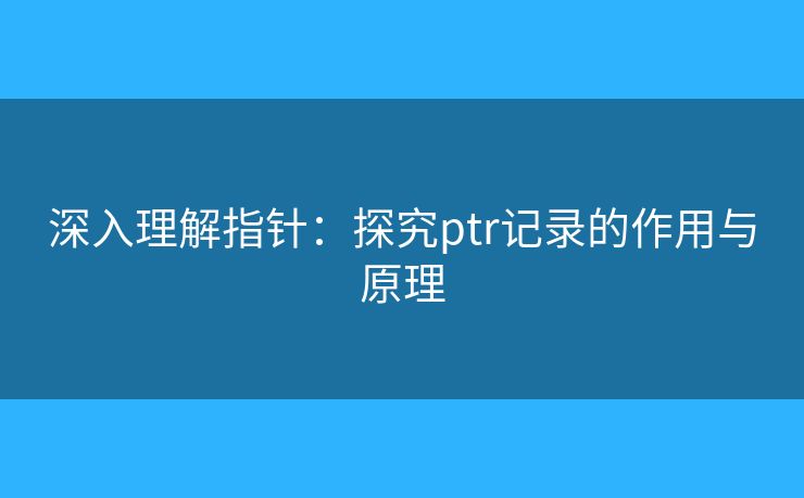 深入理解指针：探究ptr记录的作用与原理
