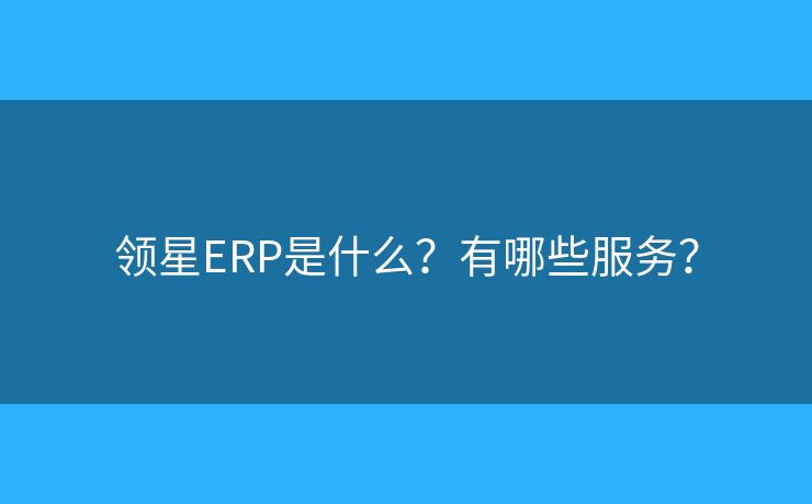 领星ERP是什么？有哪些服务？