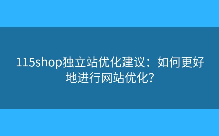 115shop独立站优化建议：如何更好地进行网站优化？